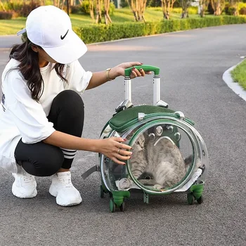 Багаж для домашних животных, прозрачный чехол на тележке, сумка для кошки, переносная собака, космическая капсула, тележка для кошки, рюкзак